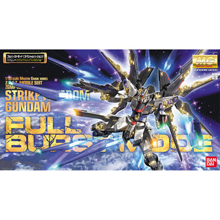 Bandai กันพลา กันดั้ม MG STRIKE FREEDOM GUNDAM (SPECIAL VER.) พร้อมส่ง