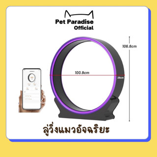 🌈[PetParadise.th]✨ลู่วิ่งแมว วงล้อแมว ลู่วิ่งแมวอัจฉริยะ เชื่อมต่อแอพได้ วัดแคลอรี่ได้