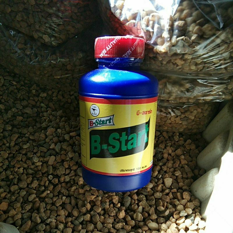 บีสตาร์ท  (B-Start).