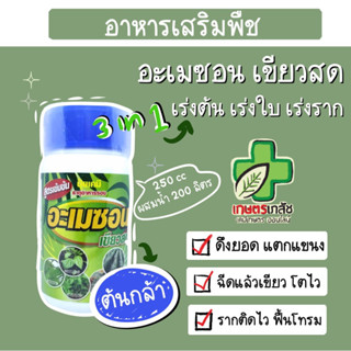 ขายดี 3in1!! ฮอร์โมน เร่งต้น โตไว ฟื้นเร็ว ผสมเร่งราก และอะมิโน เขียวสด 250cc