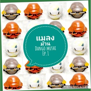 *พร้อมส่ง* ตุ๊กตา โมเดล ฟิกเกอร์ กาชาปอง แมลงม้วน dango muchi ชุดที่ 1 ค่ะ