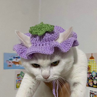 [ cat hat ] อยากมีแมวเป็นผักก็ใส่นี่เลย หมวกมะเขือม่วงแมว 🤩