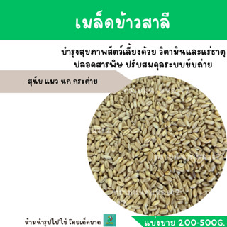 เมล็ดข้าวสาลี (แบ่งขาย 200-500G.) สุนัข แมว นก กระต่าย