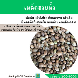 เมล็ดฮวยมั้ว  (แบ่งขาย 200-500 g.) เป่าฝุ่นแล้ว