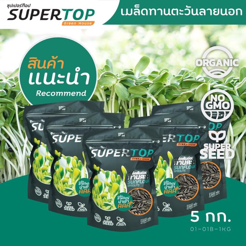 เมล็ดทานตะวันงอก เมล็ดนอกนำเข้า ราคาส่ง ไซ้ร์ใหญ่คัดพิเศษเกรด AAA อัตราการงอก 95% บรรจุ 1 แพ็ค 6 กฺิโล ราคาส่v