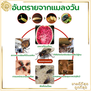 ที่ไล่แมลงวัน กําจัดแมลงวัน 25แพ็ค ที่ดักแมลงวัน ผงไข่เน่า ใช้ฆ่าแมลงวันบ้าน ได้ผลดีมาก ไม่เป็นอันตราย ผลที่ยั่งยืน