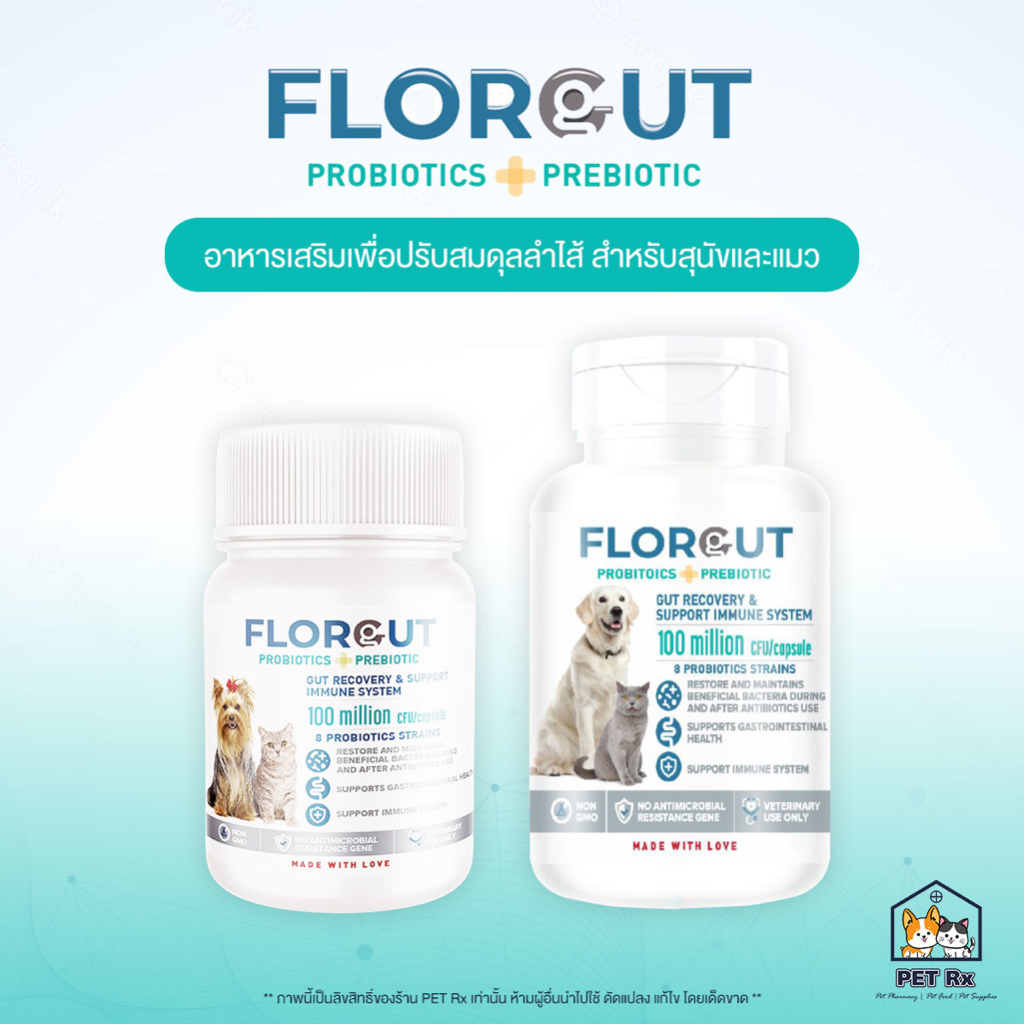 FLORGUT [แท้💯] (ฟลอกัท) อาหารเสริมพรีไบโอติกและโพรไบโอติก ปรับสมดุลลำไส้ ลดปัญหาท้องเสีย สำหรับในสุนัขและแมว (30 แคปซูล)