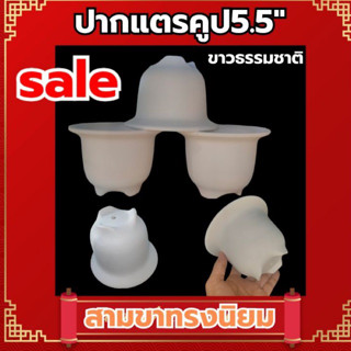 ปากแตร5.5"คูปขาว ธรรมชาติ ยกโหล 12 ใบ แถมกระถางหมาน้อย