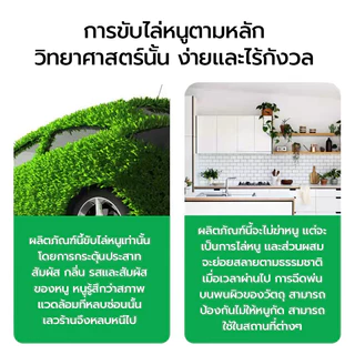 🐀100 เมตรข้างในไม่มีหนู🐀 ปลอดสารพิษและปลอดภัย สเปรย์ไล่หนไล่หนู ไล่หนูในบ้าน สเปย์ไล่หนู สเปรย์ไล่หนู 500MLสารสกัดจากพืช
