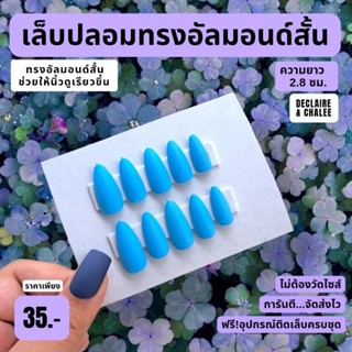 เล็บปลอม ทรงอัลมอนด์สั้น 2.5 ซม. BRIGHT SKY ฟรี!อุปกรณ์ติดเล็บครชุด พร้อมส่ง