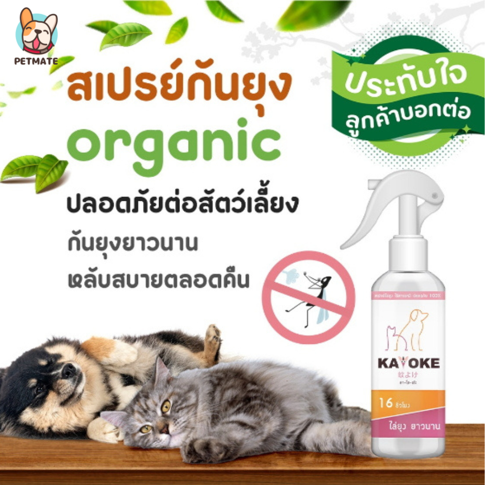 Kayoke สเปรย์กันยุง ปกป้องนาน 16ชั่วโมง สูตรออแกนิค จากสารสกัดใบสะเดา,เปลือกส้ม สำหรับสัตว์เลี้ยง สุนัข แมว