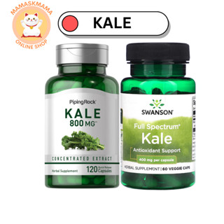 Kale ผัก เคล ใบ หยิก คะน้าใบหยิก Super Food ไฟเบอร์ ผักใบเขียวบดผง ช่วยขับถ่าย ขับสารพิษ ต้านมะเร็ง ต้าน อนุมูลอิสระ