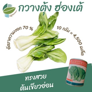เมล็ดพันธุ์ ผักกาดกวางตุ้งฮ่องเต้ (Pakchoy)