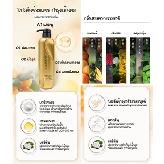 แชมพู KAASENE ของแท้ สีทองรุ่นเดิม ทำความสะอาดล้ำลึก พร้อมบำรุง ผมนุ่นลื่น มีน้ำหนัก ผมไม่พันกัน กลิ่มหอมขวดใหญ่ 618 ml