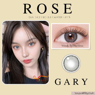 คอนแทคเลนส์ ROZE Gary ✨ ยี่ห้อ GAEZZ ; Color Gary ( ค่าสายตา 50 - 1000 )