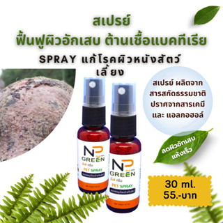 SPRAY NP GREEN สเปรย์ เอ็นพี กรีน