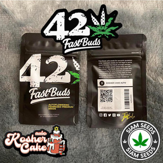 เมล็ดกัญชา Fastbuds Kosher Cake Auto Cannabis Seeds (Pack of 3)