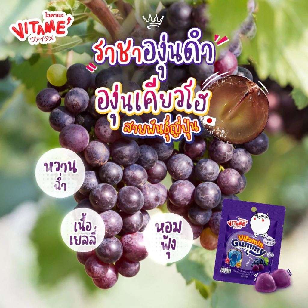 VITAME Vitamin Gummy ไวตาเมะ วิตามินกัมมี่ บำรุงร่างกาย สายตา เสริมภูมิ อร่อย กินง่าย 1 ซอง 15 เม็ด thumbnail 9