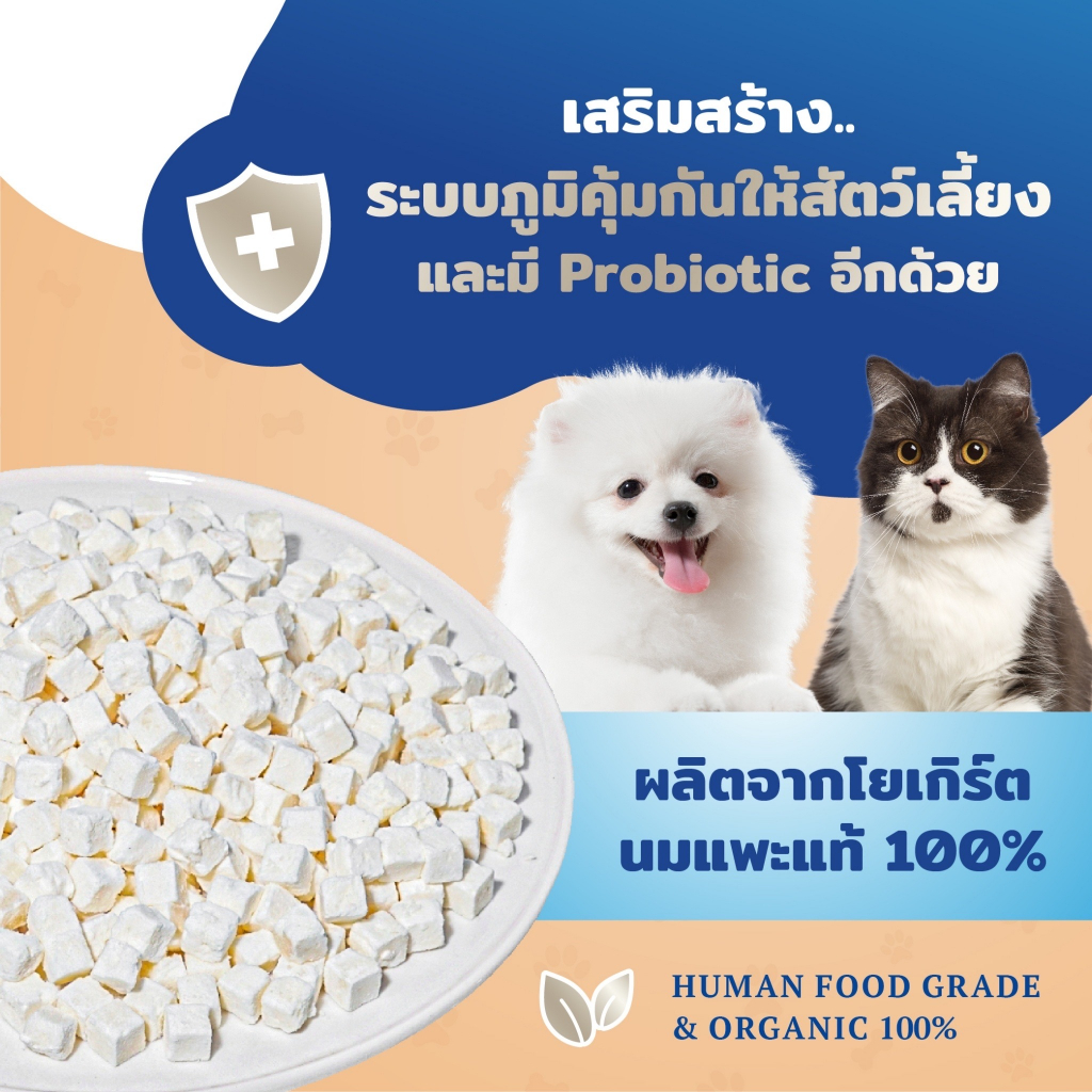 GOAT MILK YOGURT CUBE โยเกิร์ตนมแพะฟรีซดราย (40 กรัม) ขนมสัตว์เลี้ยง สุนัขและแมวทุกสายพันธุ์ ไม่ใส่น้ำตาล ขนมเพื่อสุขภาพ - รูปที่ 2
