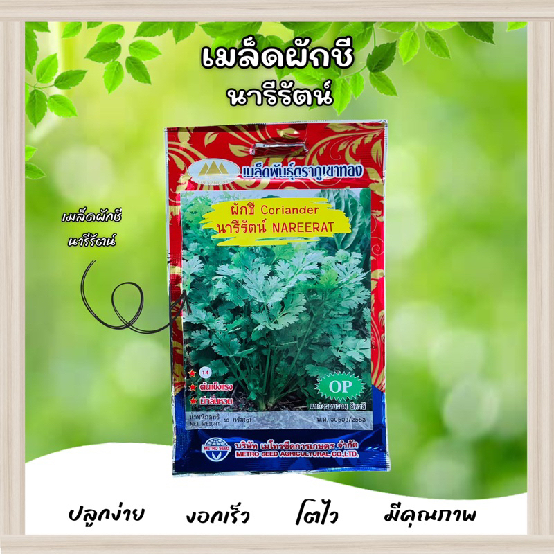 เมล็ดผักชีนารีรัตน์ ตราภูเขาทอง – โปรปัง