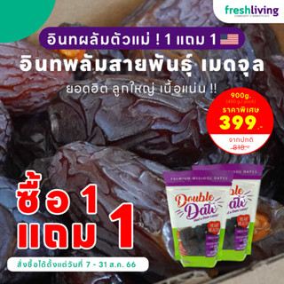เซ็ตสุดคุ้ม อินทผลัม เมดจูล USA แพ็ค 454g. 2 แพ็ค Premium Dates Medjool ลูกใหญ่ พรีเมี่ยม เนื้อเยอะ หวานธรรมชาติ