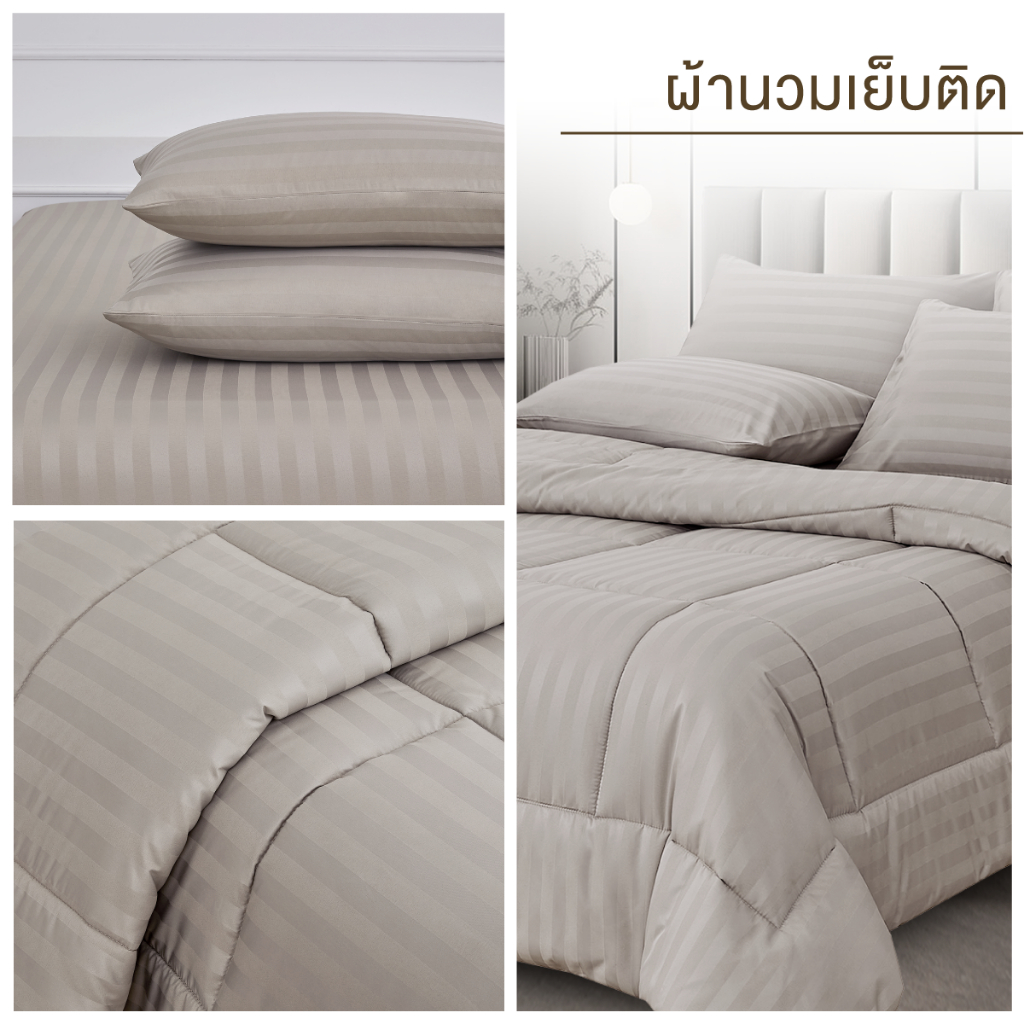 ibed ชุดผ้าปูที่นอนทอลายครบเซ็ท Softex Satin (ทอลายริ้ว) Latte milk 3.5 ฟุต,5 ฟุต,6 ฟุต - STRIPED COLLECTION - รูปที่ 5