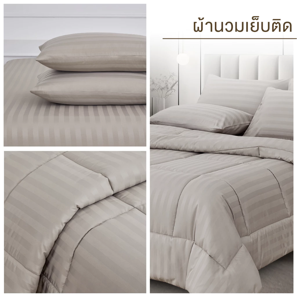 ibed ชุดผ้าปูที่นอนทอลายครบเซ็ท Softex Satin (ทอลายริ้ว) Latte milk - STRIPED COLLECTION thumbnail 8