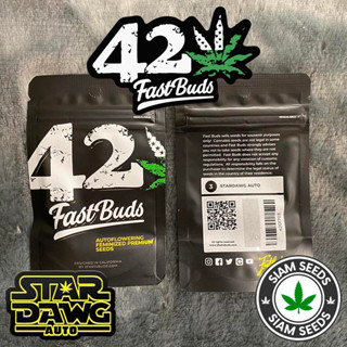 เมล็ดกัญชา Fastbuds Stardawg Auto Cannabis Seeds (Pack of 3)