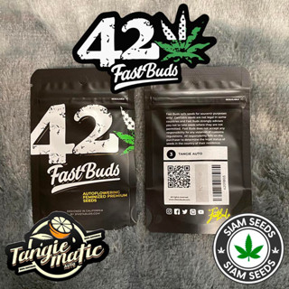 เมล็ดกัญชา Fastbuds Tangie Matic Auto Cannabis Seeds (Pack of 3)