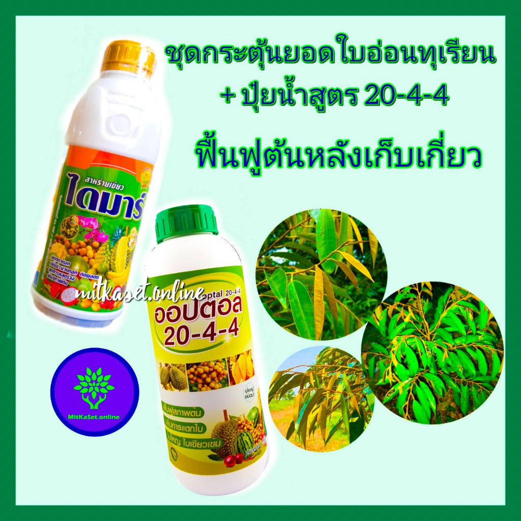 ชุด กระตุ้นยอดใบอ่อนทุเรียน +ปุ๋ยน้ำ 20-4-4 สาหร่ายเขียว ไดมาร์ 1 ลิตร+ปุ๋ยน้ำ20-4-4 ขนาด1ลิตร ฟื้นต