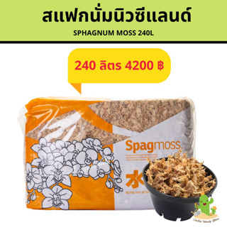 สแฟกนั่มมอสนิวซีแลนด์ 240ลิตร