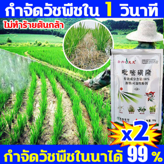 ซื้อ1ฟรี1 ใช้1ครั้ง365วันไม่ขึ้นหญ้า ยาคุมหญ้า ยาฆ่าหญ้าในนาข้าว ได้100% ยาคุมหญ้าข้าว ชีวภาพ ดูดซึม เผาไหม้