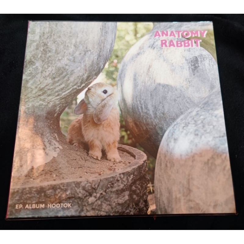 แผ่นเสียง ANATOMY RABBIT : EP. ALBUM HOOTOK