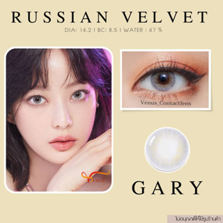 คอนแทคเลนส์  RUSSIAN VELVET​ Gary✨ ยี่ห้อ GAEZZ ; Color Gary ( คาสสายตา 50 - 700 )