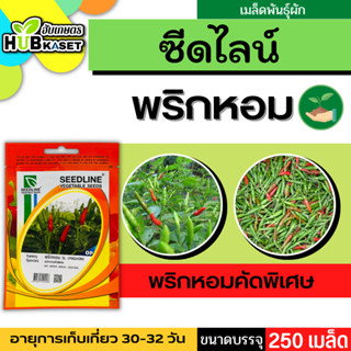 ซีดไลน์ 🇹🇭 พริกหอมคัดพิเศษ SL ขนาดบรรจุประมาณ 250 เมล็ด อายุเก็บเกี่ยว 30-32 วัน