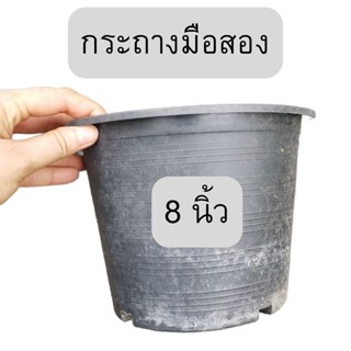 กระถาง 8 นิ้ว มือสอง มือ2