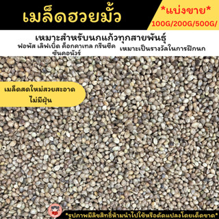 ฮวยมั๊ว ขนาด100g.และ200g. อาหารสำหรับเป็นรางวัลให้นก