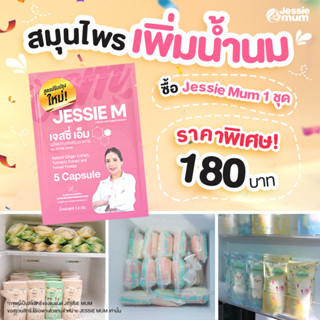 💥ของแท้ 💯%สินค้าพร้อมส่ง💥 ชุดทดลอง Jessie mum เจสซี่มัม อาหารเสริม เพิ่มน้ำนม ดูแลน้ำนม กู้น้ำนม น้ำนม ปั้มนม 1ซอง5 เม็ด