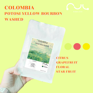 เมล็ดกาแฟคั่ว Colombia Potosi Yellow Bourbon