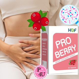 HOF PROBERRY ฮอฟ โปรเบอร์รี่ ขนาด 30 เม็ด 6ผลิตภัณฑ์เสริมอาหารจุลินทรีย์โพรไบโอติกผสมเเครนเบอร์รี #11006