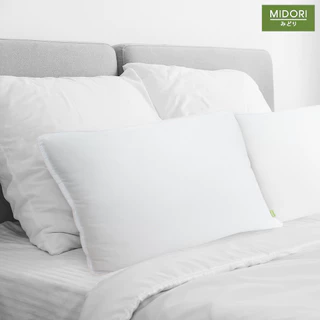 MIDORI Home หมอนหนุนสูญญากาศ Health Vacuum Pillow ใยแน่น 1000 กรัม