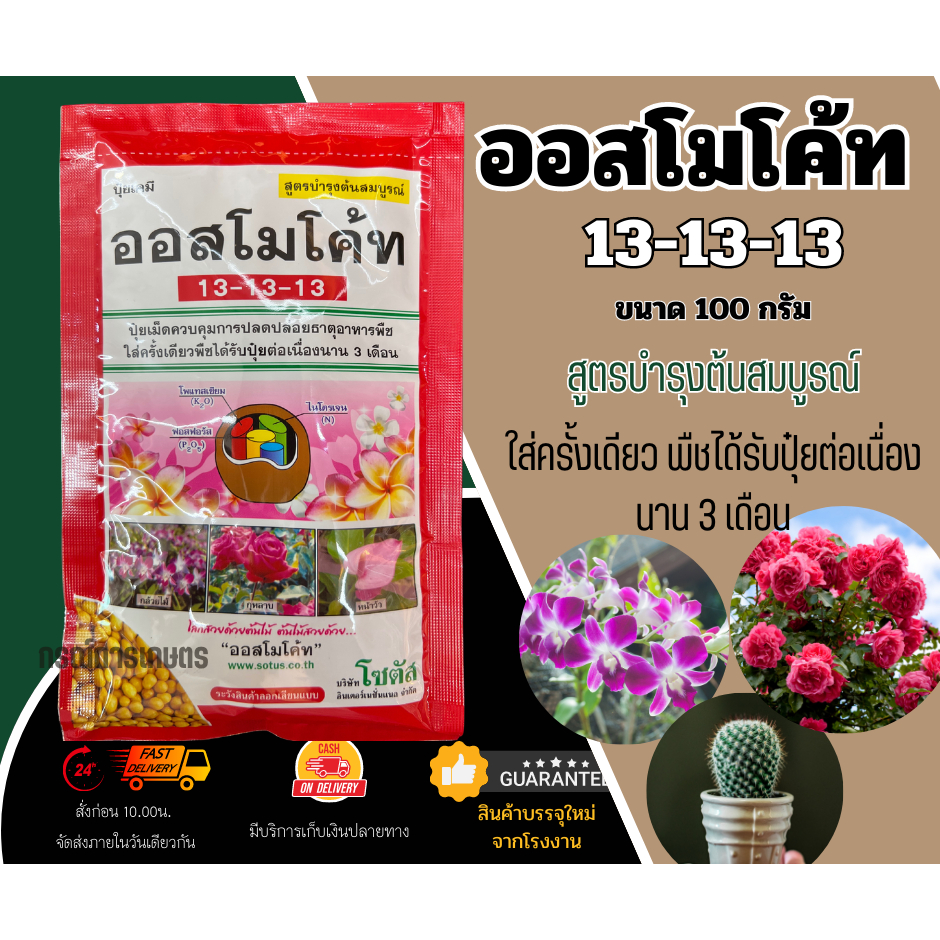 ออสโมโค้ท สูตร 13-13-13 (สูตรบำรุงต้น) (ผลิต 240165) ขนาด 100 กรัม จำนวน 1 ชิ้น