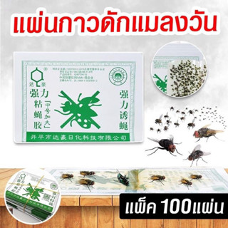 แผ่นกาวดักแมลงวัน 100แผ่น