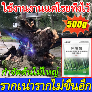 ตรงไปที่ราก!! ยากำจัดต้นไม้ สารกำจัดกอไผ่ ผงกำจัดต้นไผ่ ยาฆ่าตอไม้ 500g สูตรเข้มข้น กำจัดวัชพืชรากเน่า ผลติดทนนาน ไม