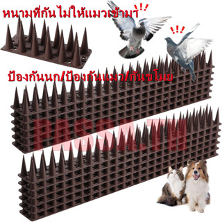 ที่กันนก หนามไล่นกพิราบ หนามกันนก หนามนก อุปกรณ์ไล่นก ไล่แมว หนามกันนกเกาะ bird thorn