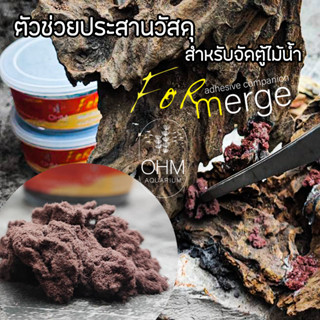 For merge ตัวช่วยประสานกาว หิน ขอนไม้ จัดทำเลเอ้าท์ เพื่อติดติดให้แน่น