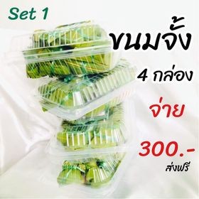 ขนมจั้ง 4กล่อง 300บาทจัดส่งได้ทั่วประเทศ