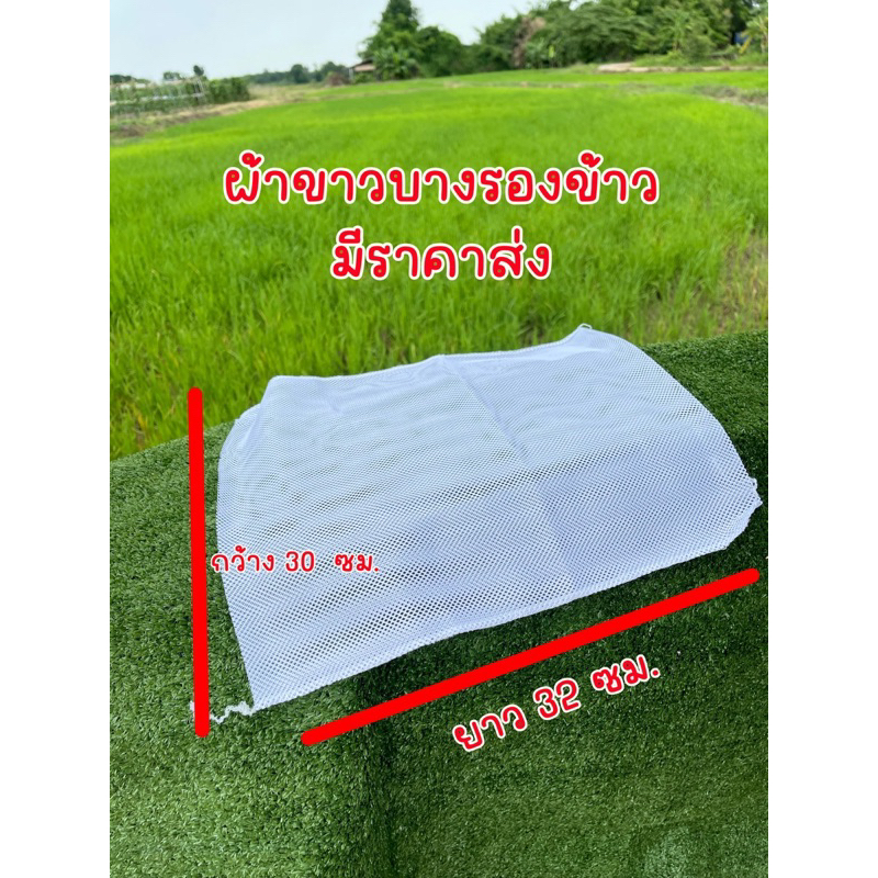 ผ้าขาวรองข้าว รองก้นหวดก้นกระติ๊บข้าว