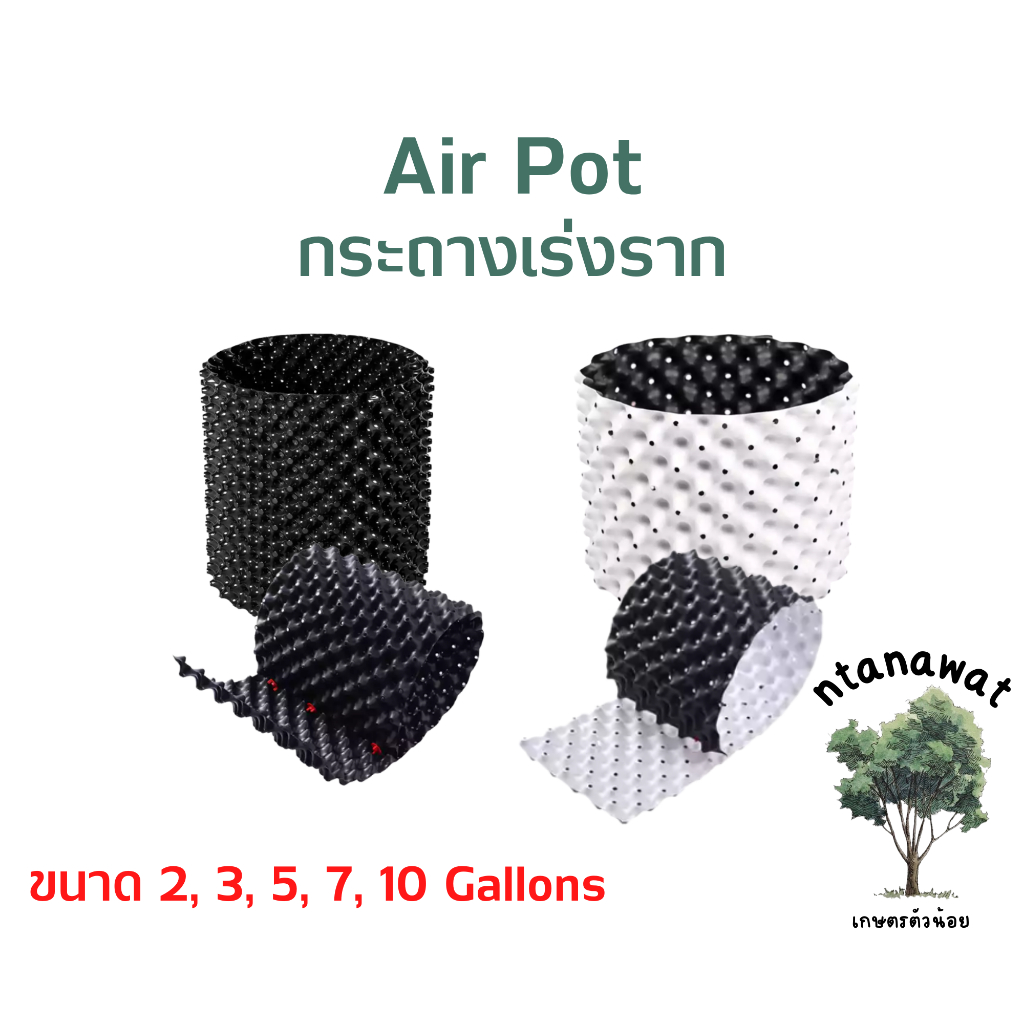 กระถางปลูกต้นไม้ Air Pot กระถางแอร์พอต กระถางเร่งราก มีให้เลือก 5 ขนาด