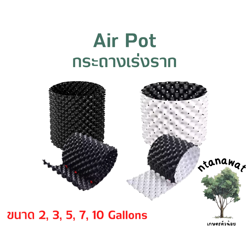 กระถางปลูกต้นไม้ Air Pot กระถางแอร์พอต กระถางเร่งราก มีให้เลือก 5 ขนาด